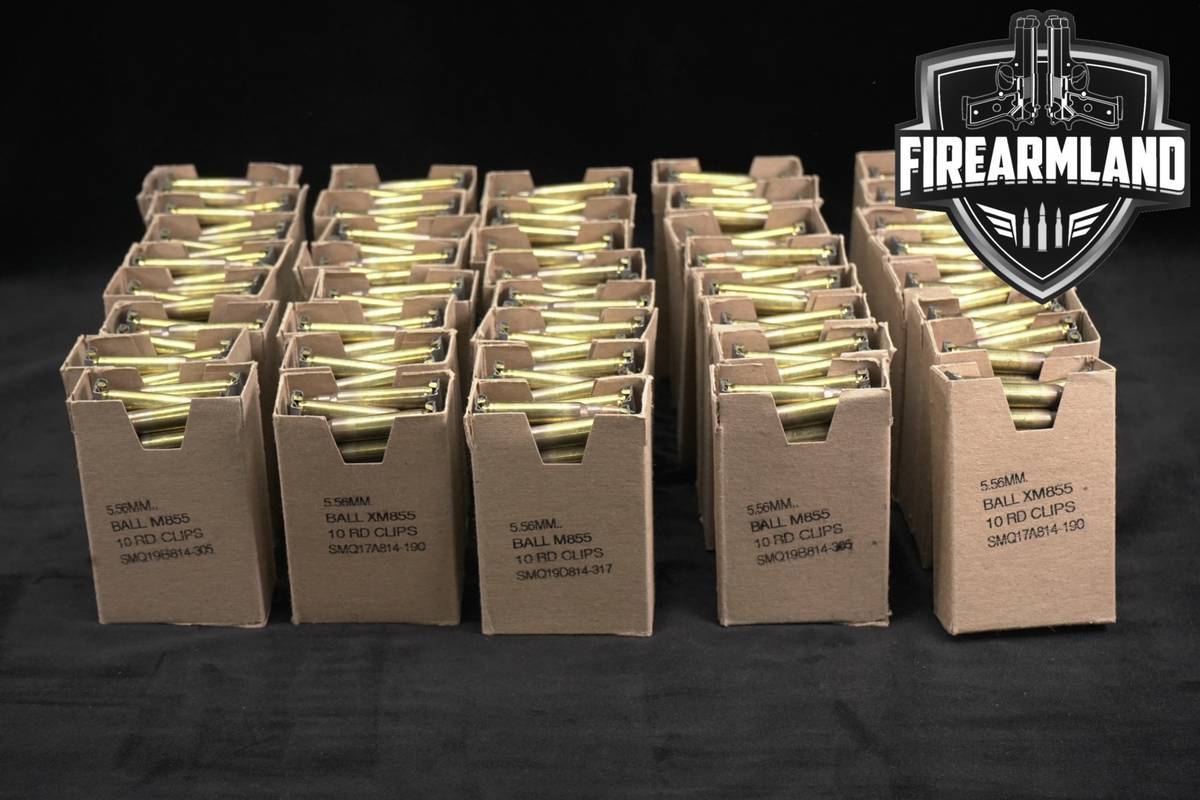 1200 RDS! 5.56 NATO Ammo 556 Ammunition