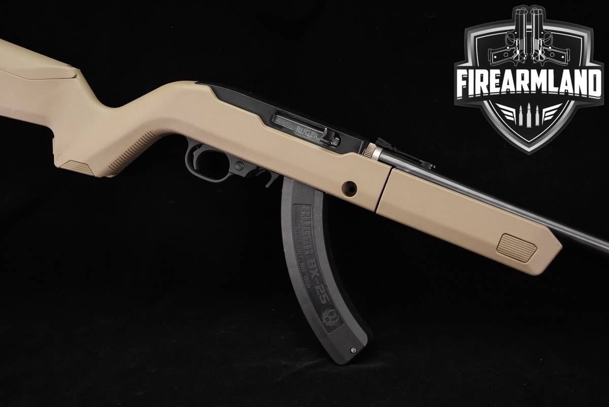Ruger 10/22 Takedown 22LR 16.5" Black & FDE 1022 10 22 BX-25 MAGS