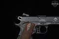 German Sport Guns (GSG) 1911 CA .22 LR Black in Excellent Condition Image 4