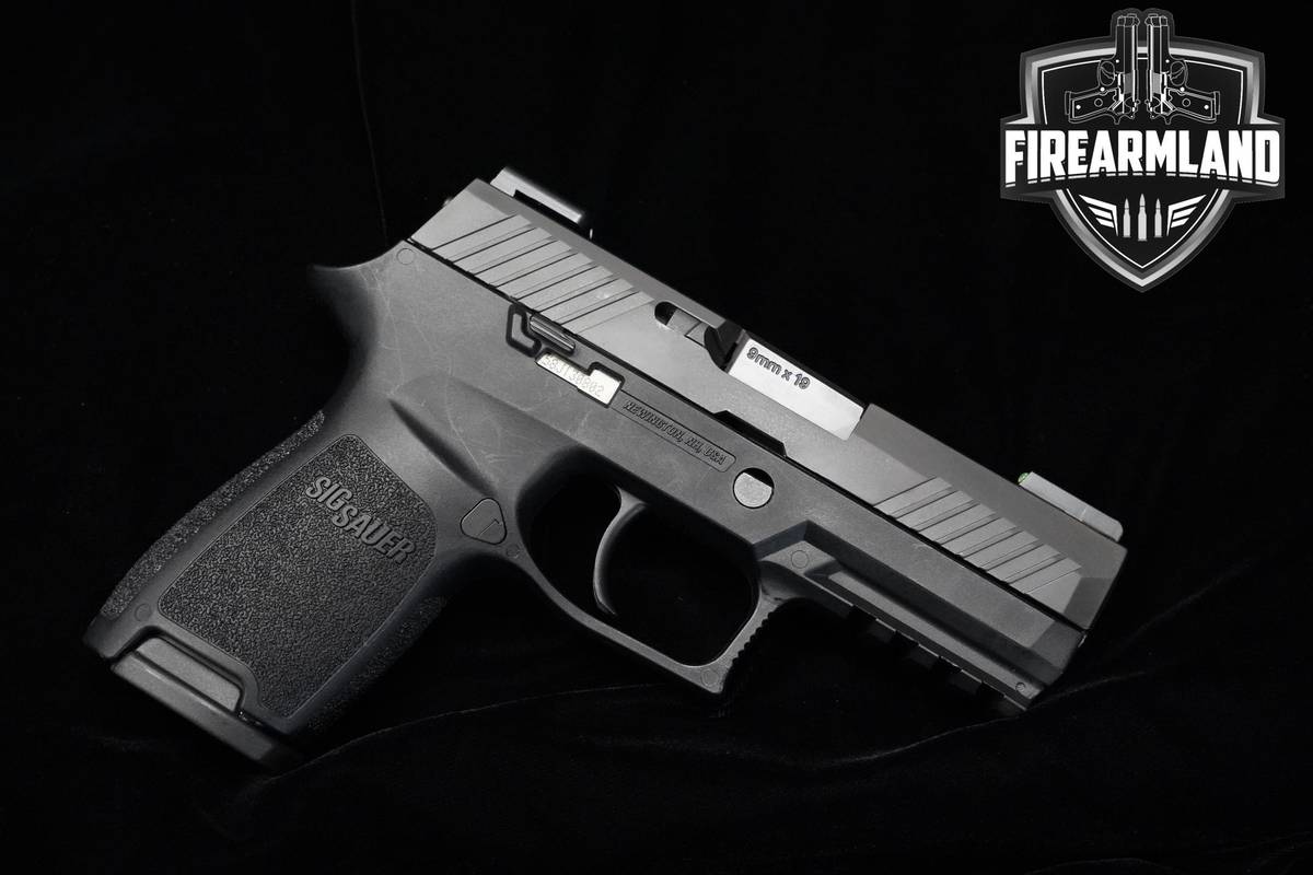 Sig Sauer P320 Compact 9mm 3.9" Nitron Sig-Sauer P320 P-320 2MAGS & HOLSTER