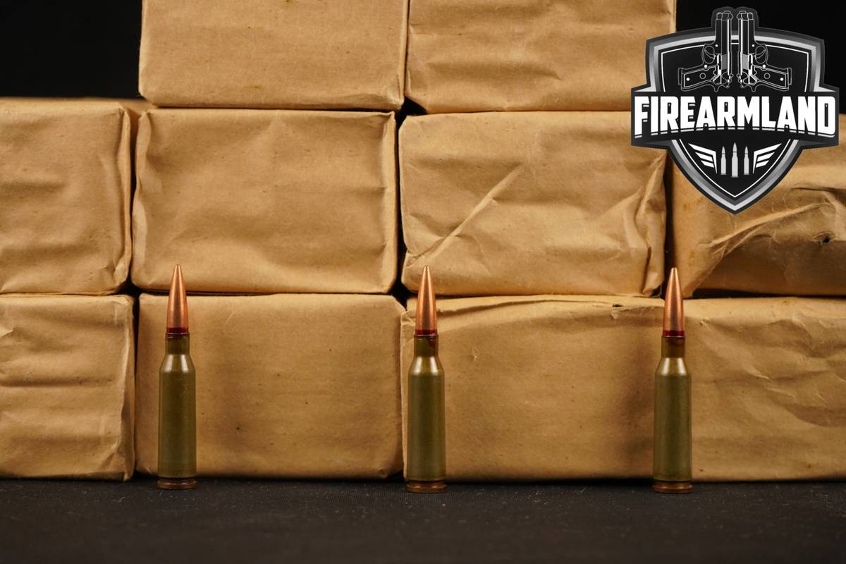 1080 RDS! 5.45x39mm Ammo Ammunition