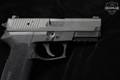 2015 Sig Sauer SP2022 .40 S&W Black in Excellent Condition Image 3