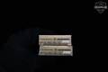 Federal Premium Buckshot 20 Gauge in Factory New Condition Image 5