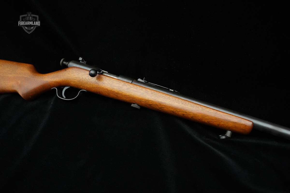 Springfield 15 22LR/22S Rifle Springfield 22 Long Short Rifle 22LR Plinker