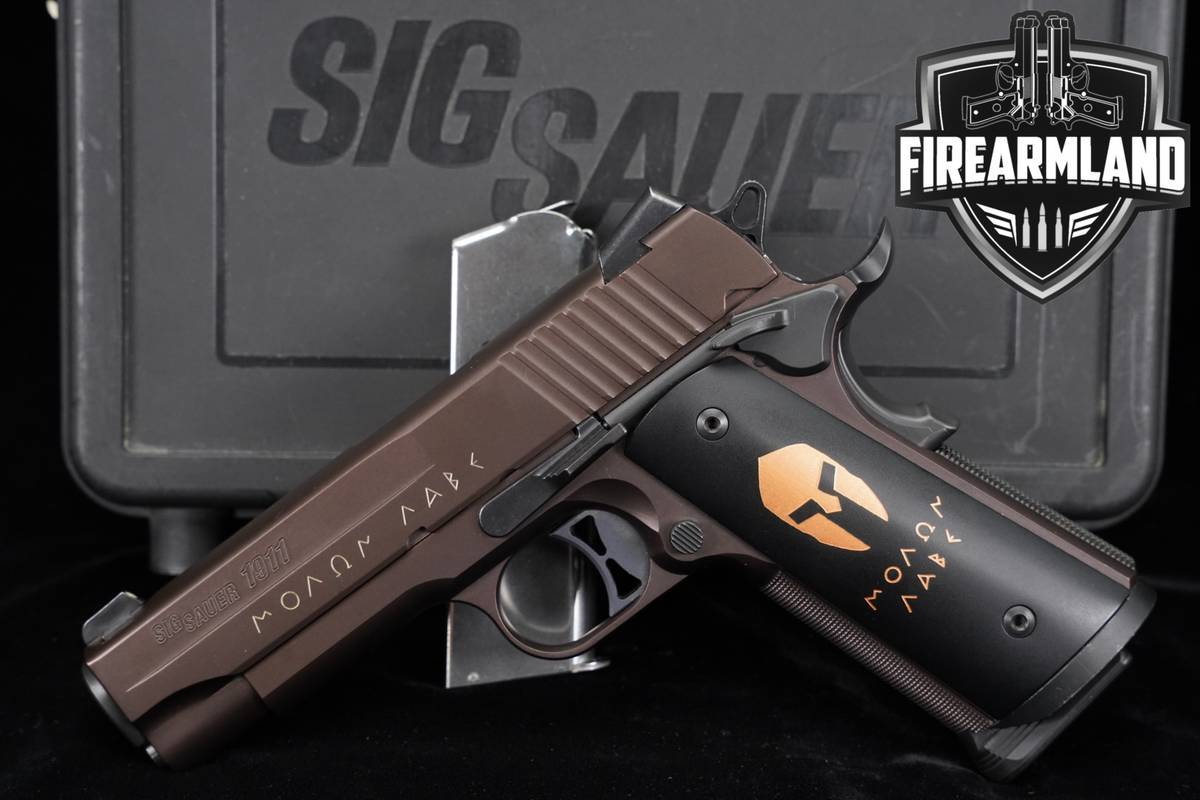 Sig Sauer 1911 Carry Spartan 45 ACP 4.2" MOLON LABE +2 MAGS & ORIG CASE