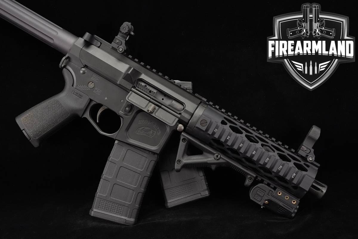 Brigade Manufacturing BM-15 5.56 NATO AR15 AR BM15 +2 MAGS, LIGHT/LASER
