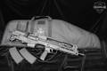 Springfield Armory Hellion 5.56mm NATO Black in Like-New Condition Image 2