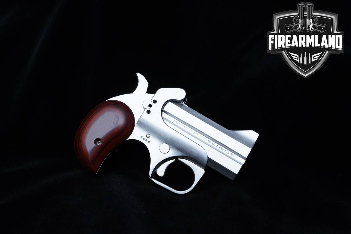 Bond Arms Texas Defender 45 LC/410 Stainless Steel Texas Bond Defender Arms