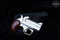 Bond Arms Texas Defender .45 LC/.410 Stainless Steel in Excellent Condition Image 2