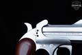 Bond Arms Texas Defender .45 LC/.410 Stainless Steel in Excellent Condition Image 3