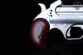 Bond Arms Texas Defender .45 LC/.410 Stainless Steel in Excellent Condition Image 4