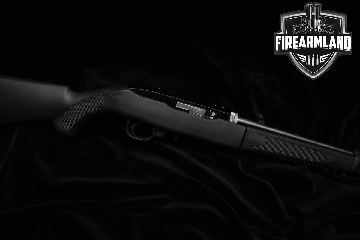 Ruger 10/22 Takedown 22LR 16.40" Ruger +ORIG CASE