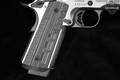 Kimber Rapide Dusk .45 ACP Stainless Steel in Very Good Condition Image 5