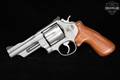 1989 Smith & Wesson (S&W) Model 629-2 Mountain Lion; Ellett Brothers Exclusive; 320 of 500 .44 Rem Magnum Stainless in Excellent Condition Image 3