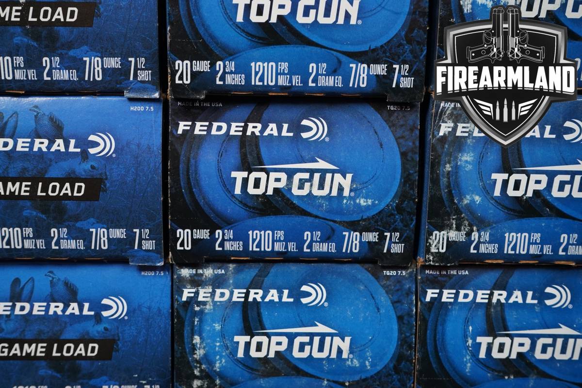 500 RDS! 20-Gauge Ammo 20Ga Ammunition