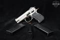 EAA Witness Wonder 10mm Steel in Good Condition Image 2