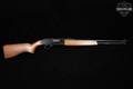 Sears Roebuck & Co Ted Williams Mod. 3T .22 S/L/LR Hardwood in Poor Condition Image 4