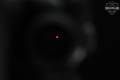 Vortex Optics Strikefire II in Excellent Condition Image 5