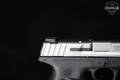 Smith & Wesson (S&W) SD9VE 9mm Luger (9x19 Para) Two-Tone in Excellent Condition Image 5