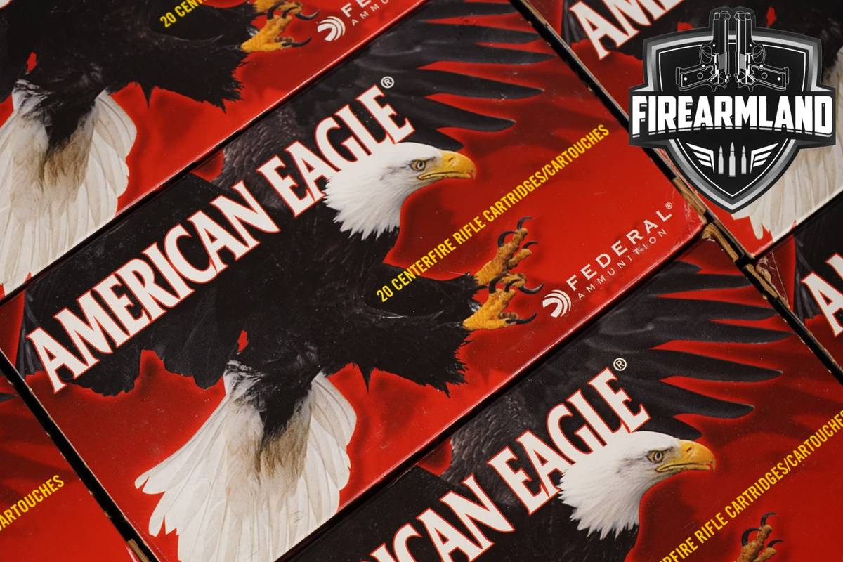 240 RDS! 30-06 Ammo 3006 Ammunition