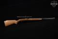 Glenfield Model 60 Glenfield .22 LR Blued & Hardwood in Fair Condition Image 3