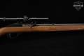 Glenfield Model 60 Glenfield .22 LR Blued & Hardwood in Fair Condition Image 5