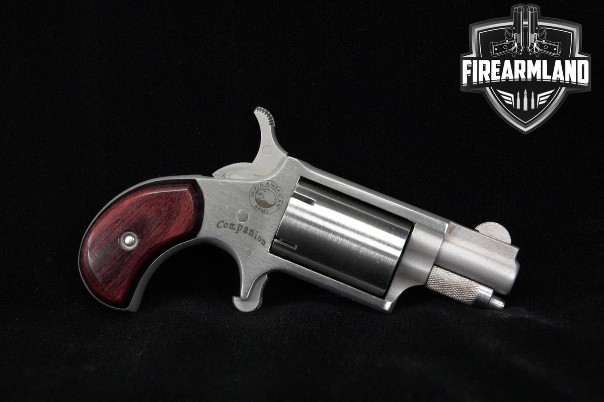 North American Arms NAA Companion .22 Cap-And-Ball 1" Stainless