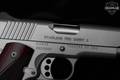 Kimber Stainless Pro Carry II .45 ACP Satin Silver in Excellent Condition Image 5