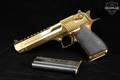 Magnum Research Desert Eagle MK XIX .50 AE Titanium Gold in Very Good Condition Image 2