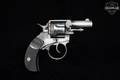 1872-1917 P. Webley & Son No.2 The British Bulldog .450 CF Blued in Fair Condition Image 2