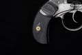 1872-1917 P. Webley & Son No.2 The British Bulldog .450 CF Blued in Fair Condition Image 3