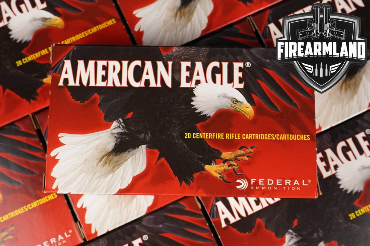 200 RDS! 30-06 Ammo 3006 Ammunition