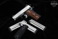 Springfield Armory EMP 9mm Luger Stainless Steel in Very Good Condition Image 2