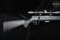 Savage Arms Model 93R17 FNSXP .17 HMR Blued in Like-New Condition Image 3