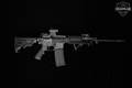 Bushmaster XM15-E2S 5.56mm NATO Anodized in Good Condition Image 2