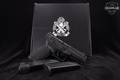 Springfield Armory Echelon 4.5 Comp 9mm Luger Black in Very Good Condition Image 2