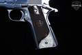 2015 Colt Mk IV Series 70 Government Model O Series .45 ACP Stainless Steel in Excellent Condition Image 3