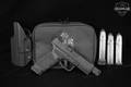Springfield Armory Hellcat Pro OSP, Threaded Barrel 9mm Luger Black in Very Good Condition Image 2