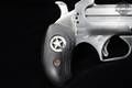 Bond Arms Ranger II .45 LC/.410 Stainless Steel in Very Good Condition Image 5