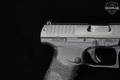 Walther PPQ Sub-Compact LE 9mm Luger Tenifer in Excellent Condition Image 4