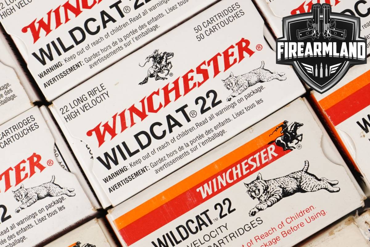 2000 RDS! 22LR Ammo 22 LR Ammunition