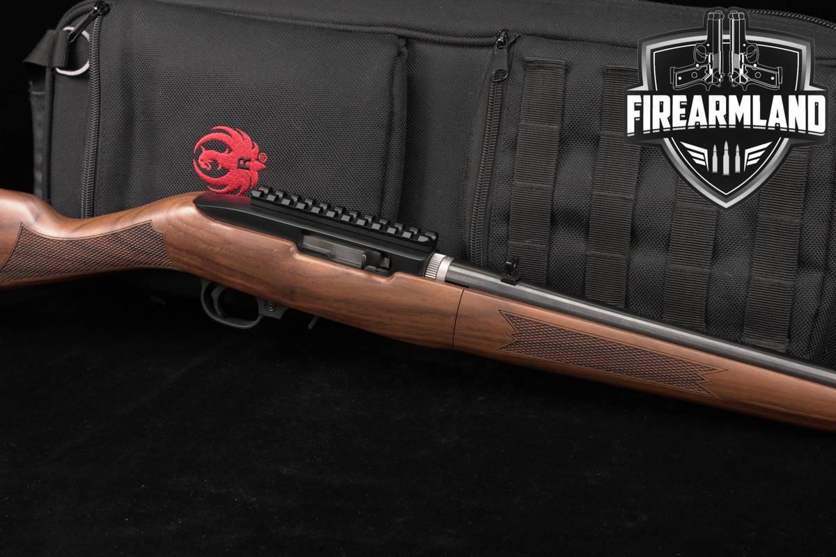 Ruger 10/22 TAKEDOWN 22LR 18.5" Black & Wood +ORIG CASE