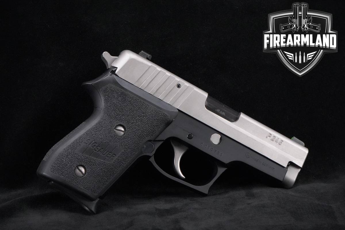 Sig Sauer P245 45 ACP 3.8" Two-Tone Sig-Sauer P245 P-245 +2 MAGS