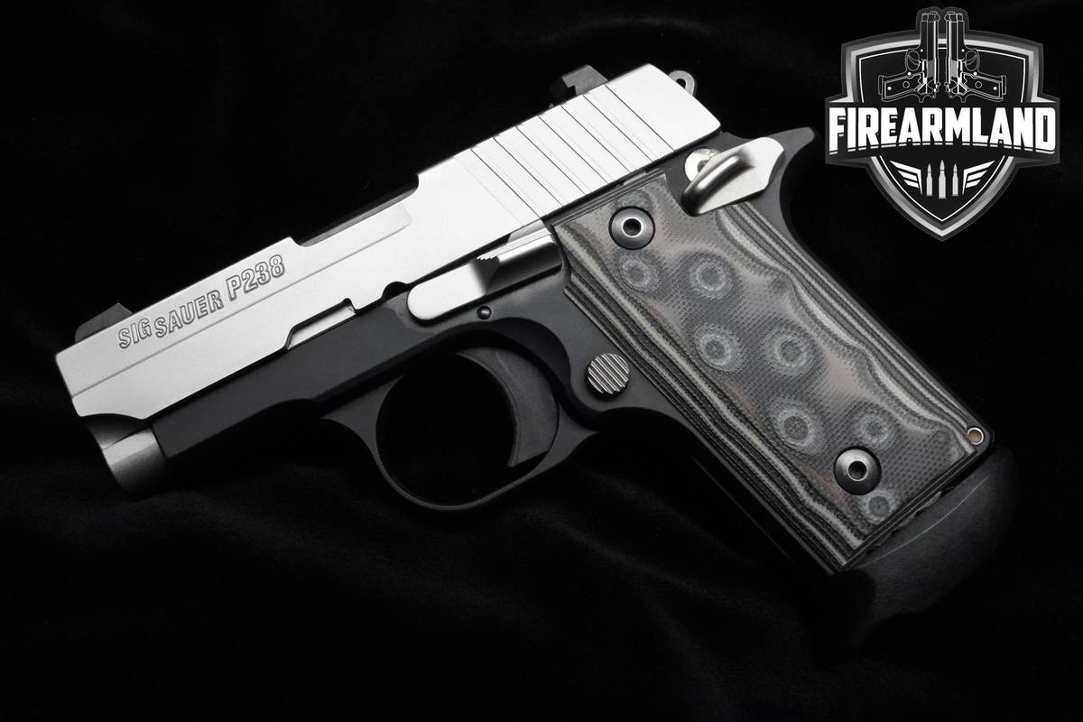 Sig Sauer P238 380 ACP 2.6" Two-Tone Sig-Sauer P238 P-238 +2 MAGS & HOLSTER