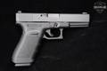 Glock G20 Gen4 10mm Light Gray in Excellent Condition Image 4