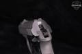 Beretta Model 3032 Tomcat Inox .32 ACP Stainless Steel in Good Condition Image 5