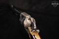 1976 Armi Jager Dakota .45 Colt Blued/Coin/Brass in Good Condition Image 5