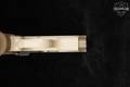 Sig Sauer P238 Desert .380 ACP Two-Tone FDE in Very Good Condition Image 5