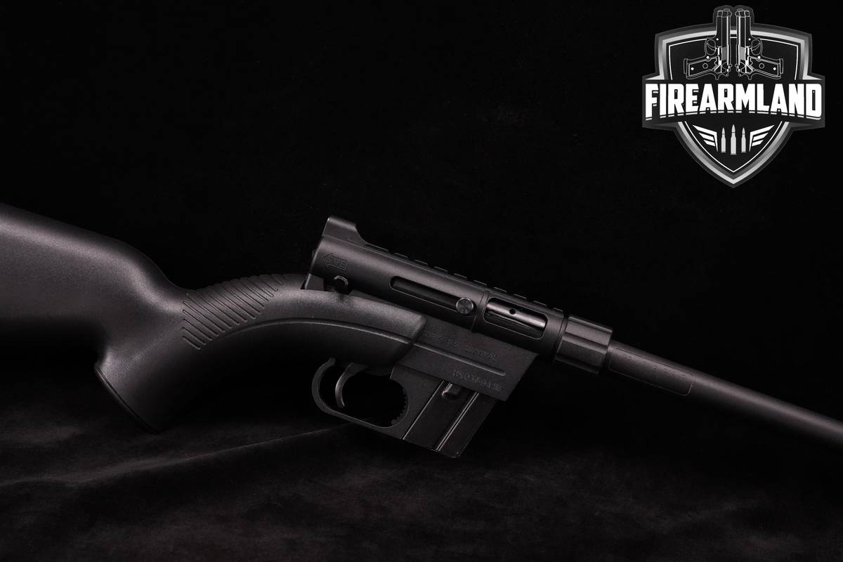 Henry US Survival 22LR AR-7