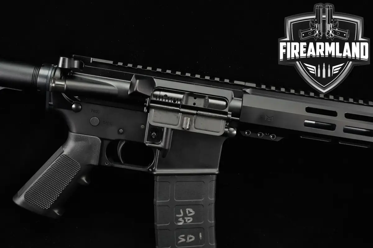Palmetto State Armory PSA PA-15 5.56 NATO AR15 PA15 AR +2 MAGS & ORIG BOX